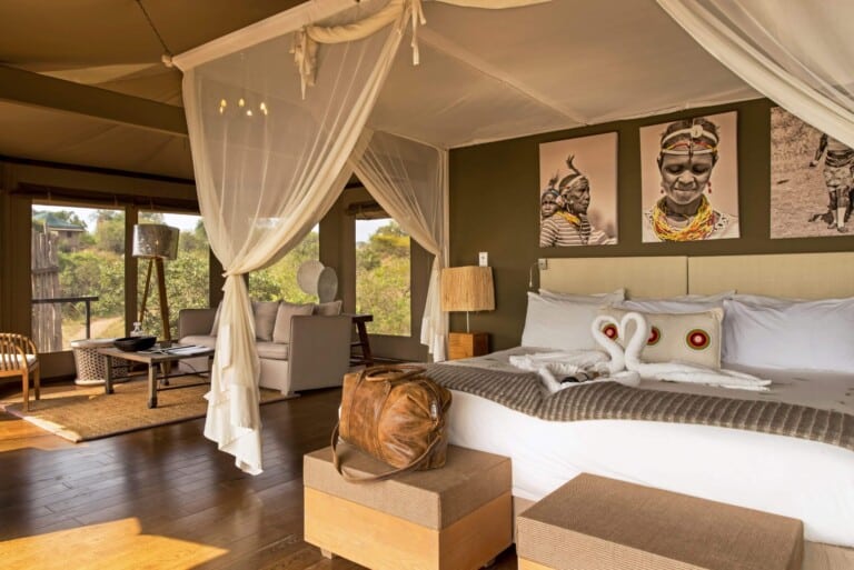 hotel packages african lion safari