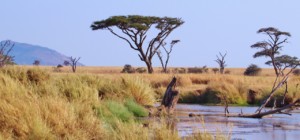 Tanzania Travel Guide EASTCO Safaris