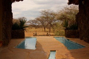 Tanzania Travel Guide EASTCO Safaris