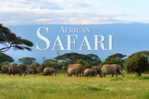 Tanzania Travel Guide EASTCO Safaris