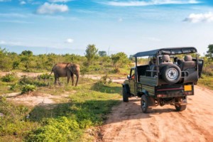 Tanzania Travel Guide EASTCO Safaris