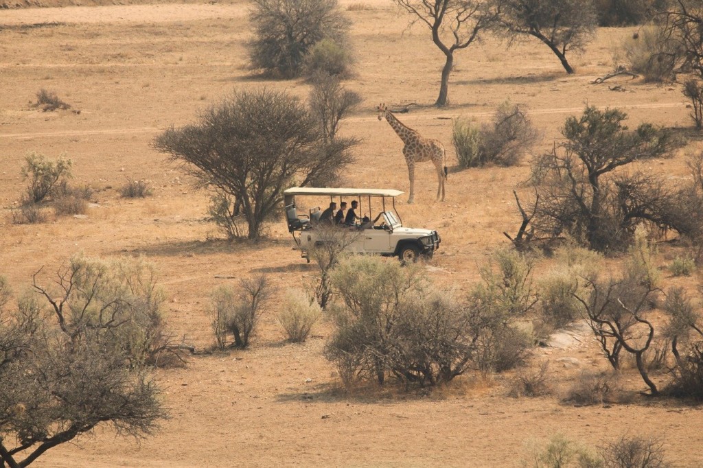 How Long Is A Safari Game Drive? EASTCO Safaris