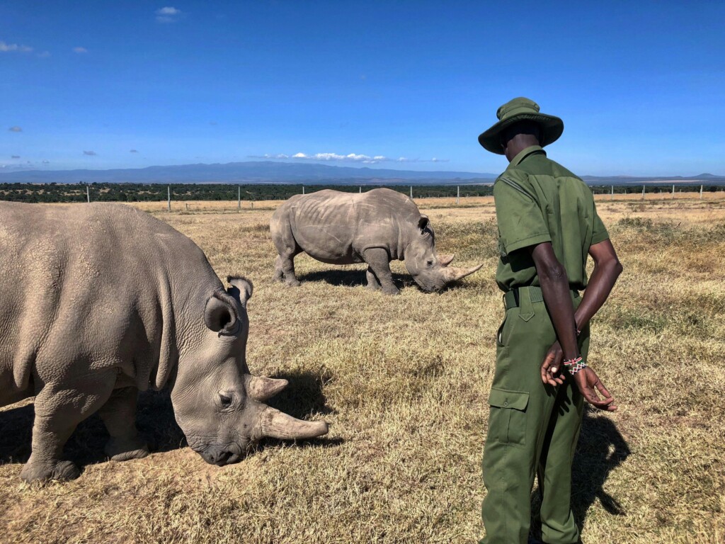 Tanzania Safari Guided Walks EASTCO Safaris