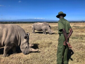 Tanzania Safari Guide EASTCO Safaris