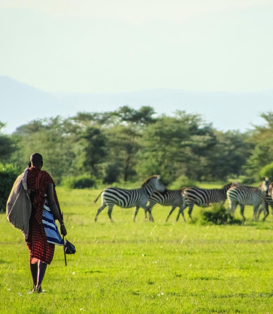 How Much Does a Walking Safari Cost? EASTCO Safaris