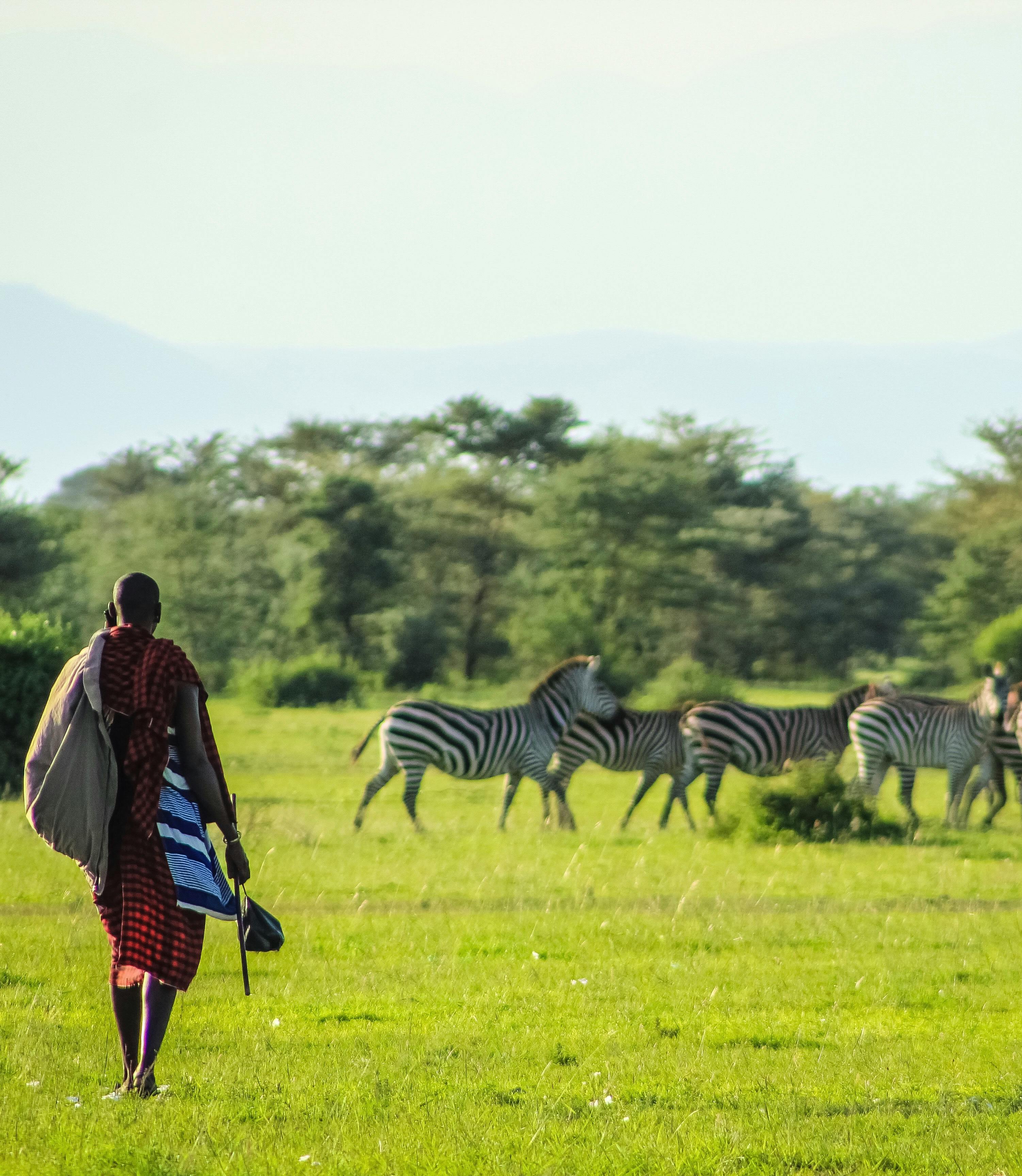 How Much Does a Walking Safari Cost? EASTCO Safaris