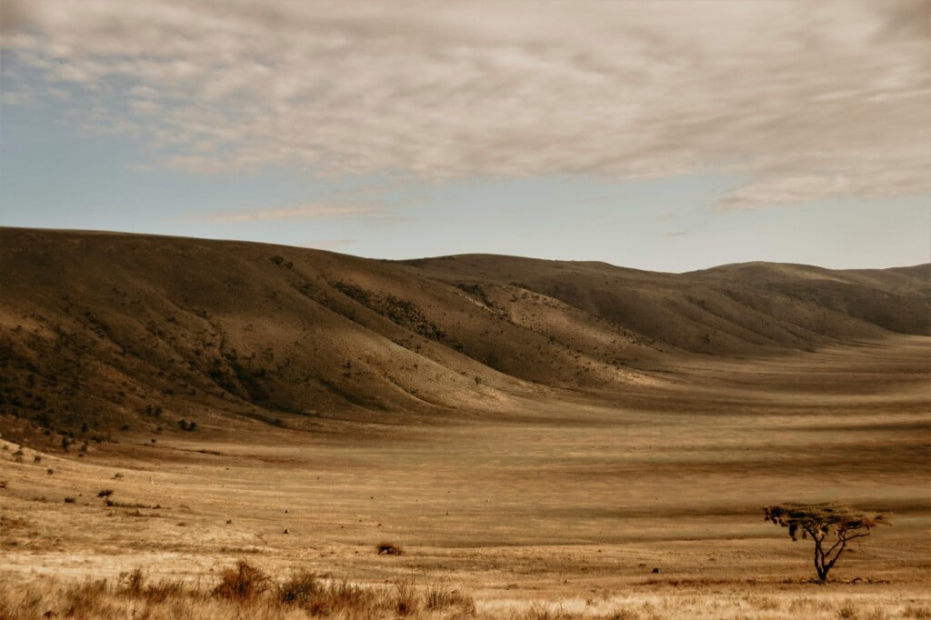 Is Olduvai Gorge Worth Visiting? EASTCO Safaris