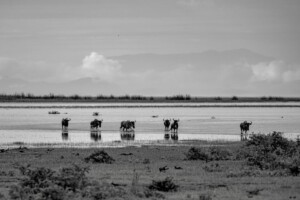 What Is The Most Famous Landmark In The Ngorongoro Conservation Area In Tanzania?