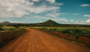 How Many Animals Are There In Ngorongoro?