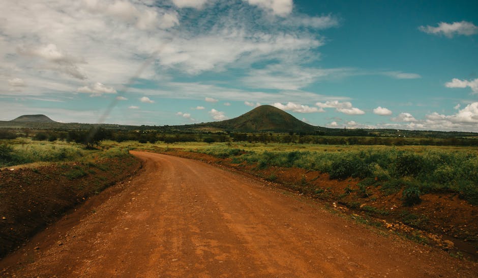 How Many Animals Are There In Ngorongoro? EASTCO Safaris